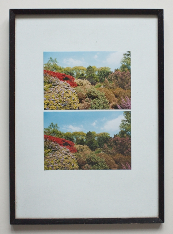 11_mirror-shrubs-web.jpg