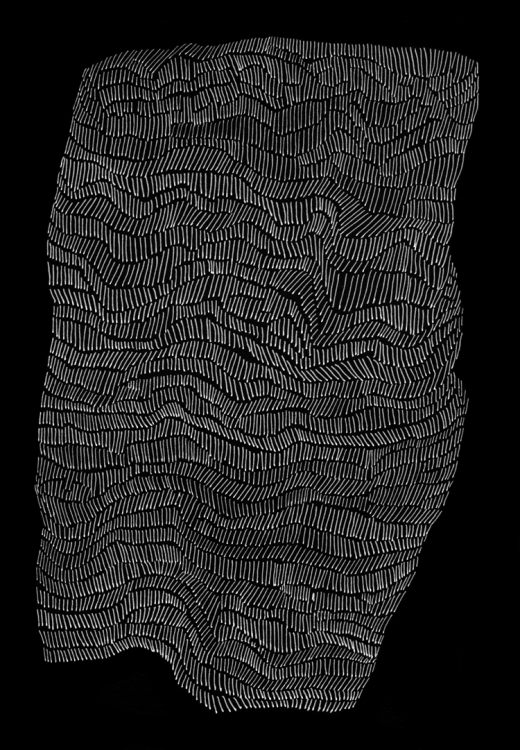 25_lines-neg-print.jpg