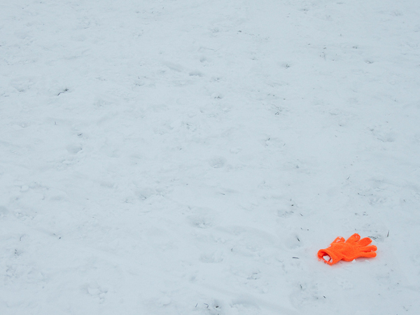 49_snow-glove.jpg