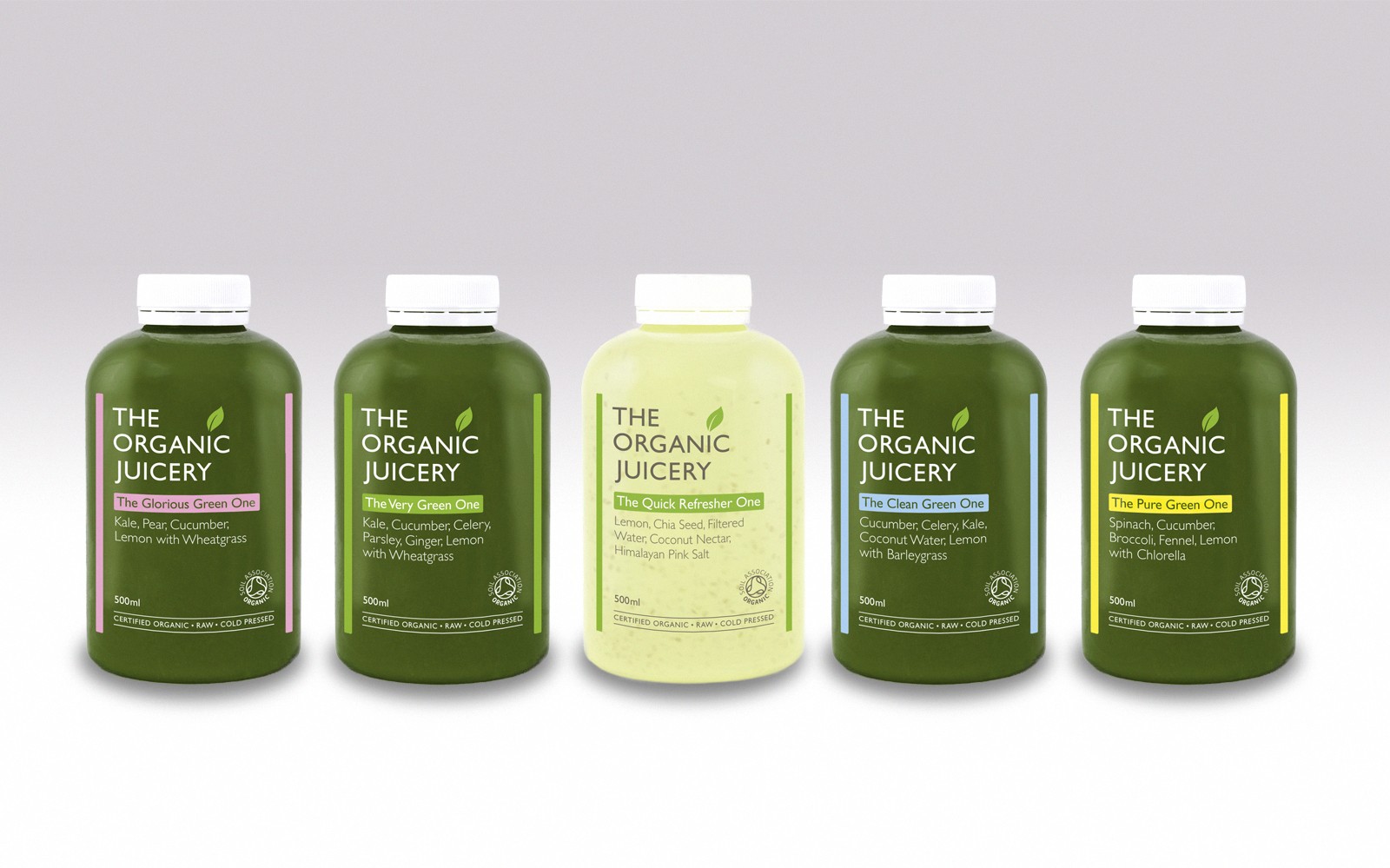 Branding for The Organic Juicery